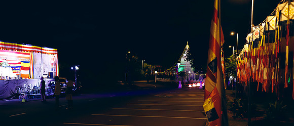 2024_vesaksday_Forestlake Temple (29)