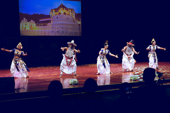 2025_Prathiba_ImageCapture1 (221)