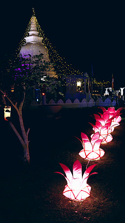 2024_vesaksday_Forestlake Temple (37)
