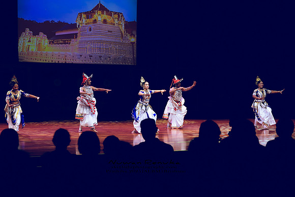2025_Prathiba_ImageCapture1 (225)