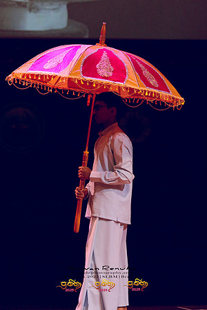 2025_Prathiba_ImageCapture2 (49)