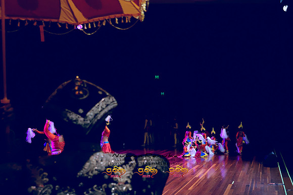 2025_Prathiba_ImageCapture1 (410)