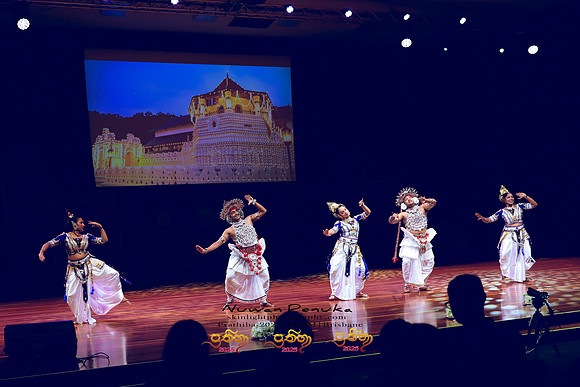 2025_Prathiba_ImageCapture1 (222)