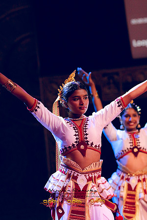 2025_Prathiba_ImageCapture2 (419)