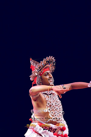 2025_Prathiba_ImageCapture2 (52)