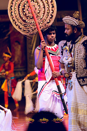 2025_Prathiba_ImageCapture2 (497)