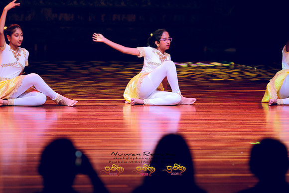 2025_Prathiba_ImageCapture2 (1191)