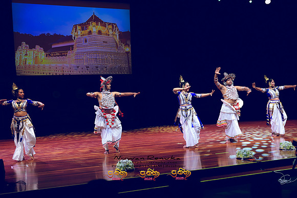 2025_Prathiba_ImageCapture1 (220)