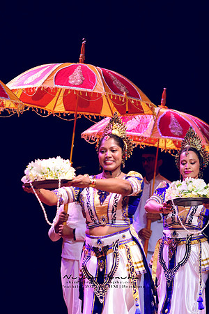 2025_Prathiba_ImageCapture2 (42)