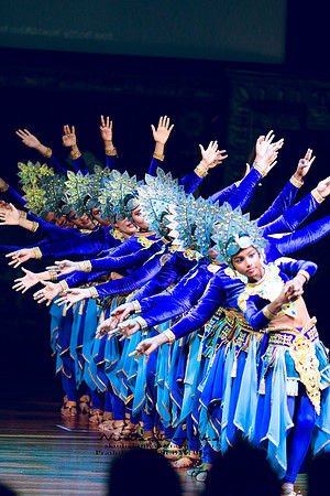 2025_Prathiba_ImageCapture2 (182)