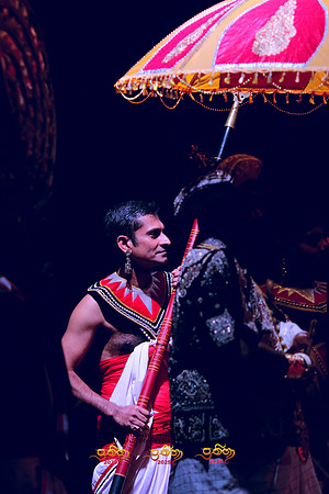 2025_Prathiba_ImageCapture2 (519)