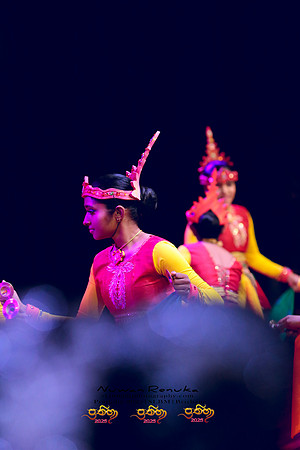 2025_Prathiba_ImageCapture2 (503)