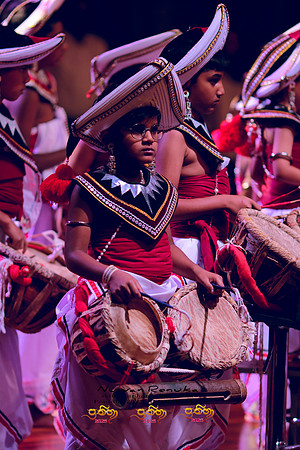 2025_Prathiba_ImageCapture2 (295)