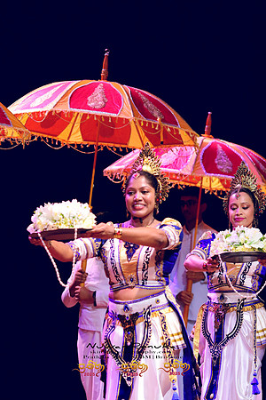 2025_Prathiba_ImageCapture2 (42)